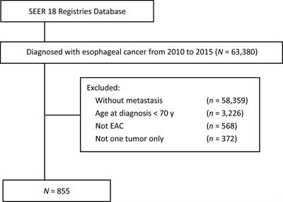 Metastasis Patterns and Prognosis of Elderly Patients With Esophageal Adenocarcinoma in Stage IVB: A Population-Based Study